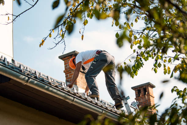 Best Roof Moss and Algae Removal  in Franklinville, NJ